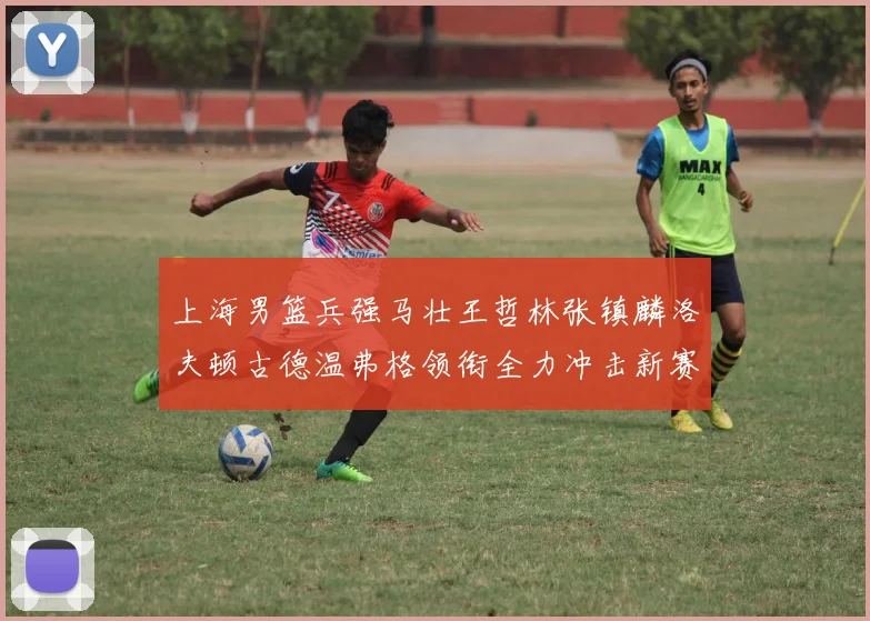 上海男篮兵强马壮王哲林张镇麟洛夫顿古德温弗格领衔全力冲击新赛季