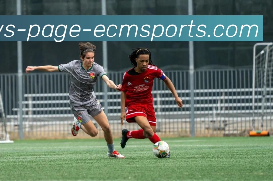 易倍体育服务体系